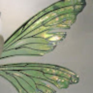 Meet your Posher, Jade